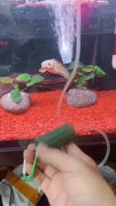 "Hoàn tiền đến 10%" Máy Sủi Oxy USB Mini Siêu Êm Nhiều Màu - Tiện Lợi Đa Chức Năng Cổng Sạc 5v 1 Vòi