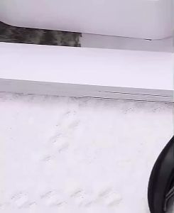 Gunting kuku Jempol Kaki Anti cantengan anti nyeri stainless