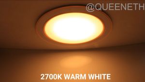 LED Recessed BIG Downlight Led Light Bulb Round Downlight Daylight and Warm white ilaw sa bahay led maliwanag