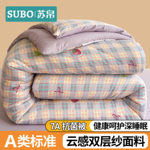 Antibacterial Double Layer Fabric Quilt Core Blanket Duvet Cover for Dormitory Single And Double Bed All Seasons Universal