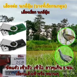 ราคาพิเศษวันนี้ เสียงนกอีลุ้ม เสียงนกตูม และเสียงต่อต่างๆ แฟลไดร์ เสียงนกตูม เสียงชัด เข้าเร็ว เข้าไว หมานๆ เสียง mp3 ยาวๆ  เกิน 5 ซม