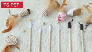 PurrPlay Cat Chaser Toy: A Fun & Safe Interactive Experience