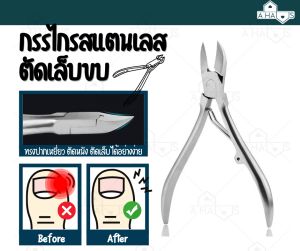 A HAU ที่ตัดเล็บ คลิกที่ตัดเล็บ กรรไกรตัดเล็บขบ กรรไกรสแตนเลสทรงปากเหยี่ยวตัดเล็บขบ กรรไกรตัดหนัง สแตนเลสแท้ ไม่เป็นสนิม