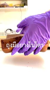 (Amorแท้) ถุงมือทำอาหารสีม่วง ถุงมือไนไตร สีม่วง Amor ถุงมือหนาพิเศษ ถุงมือไนไตร ถุงมือทำอาหาร ถุงมือร้านอาหาร มาตรฐาน Food Grade 100 ชิ้น/กล่อง