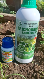 TRICHODERMA CHAI 1 LÍT. Phòng ngừa nấm khuẩn gây hại men ủ sinh học phân chuồng xác bã thực vật.