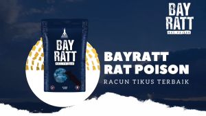Racun Tikus BAYRATT Mati Kering Tidak Meninggalkan Bau Racoon isi 25g
