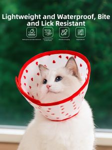 Hipidog | Anti-licking Bite Prevention Collar