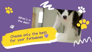 VITALITY ADULT (CLASSIC) 15KGS