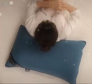 (Buy 1 Take 1)Authentic Hilton Pillow - 100% Cotton Super Firm High Quality