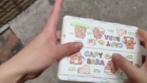 Capybara Collapsible Crate Cartoon Plastic Folding Storage Basket Utility Cosmetic Container Desktop Holder Home Use School Desk Storage Valentines Day Gift