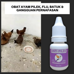Obat Ayam Pilek Flu Batuk Infeksi Tenggorokan Dan Gangguan Pernafasan