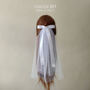 CARICE 001: Small Minimalist  Intimate Bridal Prenup Veil