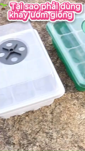 🌱 Bộ Khay Ươm Giống 3 Lớp – Bí Quyết Nảy Mầm Nhanh Cây Con Khỏe Mạnh