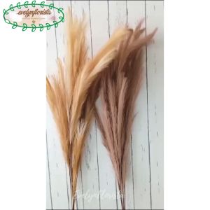 Tanaman Hias Rustik & Dekorasi Ruangan Aesthetic