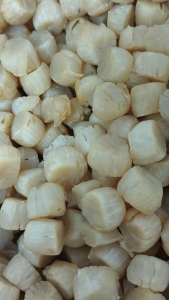 中国大连彩贝 干元贝 100g Size S - XXL China Dalian Dried Scallop Dried Conpoy 江瑶柱 干瑶柱 海鲜美食 大连海产 海鲜烹饪食材 提鲜滋补孕妇小孩可食宝宝粥煲汤