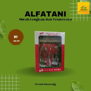 Benih Cabai OR 42/ OR TWIST42 F1