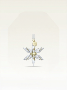 Swarovski | Annual Edition Star Decoration