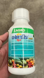 เฟตามิน คอมบี ขนาด 500 cc ซาโกร สูตรเข้มข้น ช่วยการงอกของเมล็ด แตกรากและใบอ่อน ฟื้นฟูต้น ปรับสภาพดิน ในพืชผัก ผลไม้ ข้าวโพด สวน npkplant