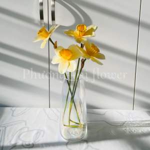Hoa thuỷ tiên hoa thuỷ tiên giả hoa thuỷ tiên cao su hoa giả decoer hoa giả trang trí