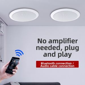 Bluetooth In-Ceiling Surround Indoor Speakers for Bubble Tea Shops Background Music