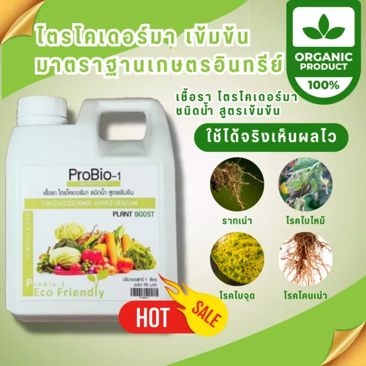 ไตรโคเดอร์มา ชนิดน้ำ กำจัดโรครากเน่า โคนเน่า ใบหงิก แคงเกอร์
