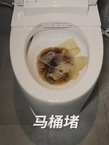 🔥10S to dissolve blockages🔥 Pipe Dredging Agent 300G Sink Remover Strong Dredge For Floor drains sinks toilets bathtubs ect.