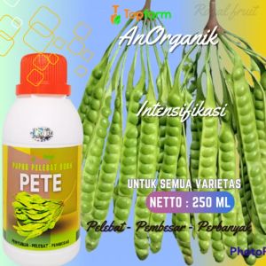 Pupuk Pelebat Buah Pete / Pupuk Anti Perontok Buah Pete / Pupuk Buah Pete Ukuran Besar / Pupuk Booster Buah Pete / Pupuk Penyubur Buah Pete