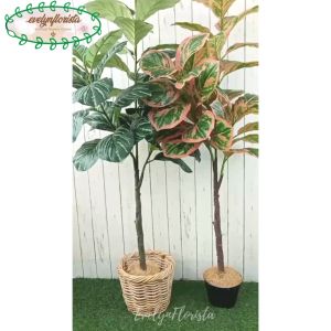 Pohon Hias Artificial Daun Karet Merah Muda / Hijau Tua X3 T140 Latex Pot Dasar Cover Anyaman Rotan Bulat Hiasan Caffe