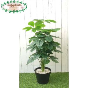 Pohon Hias Artificial Anubias X18 Semi Latex Pot Dasar Hitam Plastik Dekorasi Balkon Apartemen