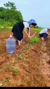 เครื่องกดน้ำดื่มอัตโนมัติ PAE Automatic Water เครื่องกดน้ำดื่ม เครื่องปั๊มน้ำแบบสมาร์ทไร้สายอัจฉริยะ ชาร์จแบต USB เครื่องปั๊มน้ำดื่มอัตโนมัติ เครื่องกดน้ำดื่ม