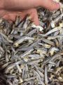 1kg Cá cơm xanh khô ngon.