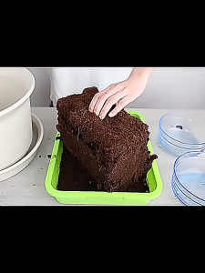 TAGO ขุยมะพร้าวอัดก้อน ขุยมะพร้าว ปลูกต้นไม้ ดินปลูกต้นไม้ CoCo Peat เพาะปลูกแทนดิน pH เหมาะสม