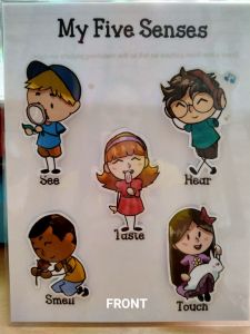 My Five Senses Laminated Sheet