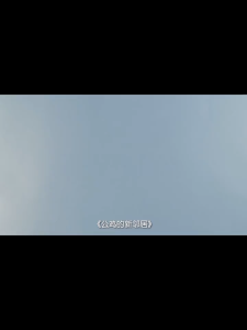 FORMINDS Chinese Picture Book Storybook 精装正版【公鸡的新邻居】一场和邻居相处的故事 宝宝亲子启蒙认知早教读物 儿童绘本 故事书 图画书 幼儿早教启蒙阅读