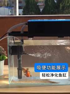 ปั๊มจุ่มมัลติฟังก์ชั่น 3-ใน-1 สําหรับพิพิธภัณฑ์สัตว์น้ํา – ประหยัดพลังงาน การออกแบบเงียบ การให้ออกซิเจน การกรอง & การไหลเวียนของน้