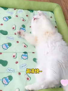 LDECO Washable Cooling Pet Bed For Cats & Dogs Summer Ice Sleeping Pad Four Seasons Universal Cool Bed for Small Dog Cat
