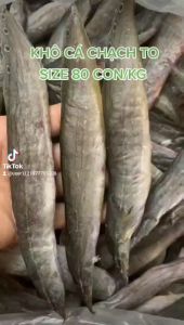 KHÔ CÁ CẠCH ĐỒNG CON TO BÉO CHÍNH GỐC TƯƠI NGON ĐẶC SẢN CHO QUÝ ÔNG