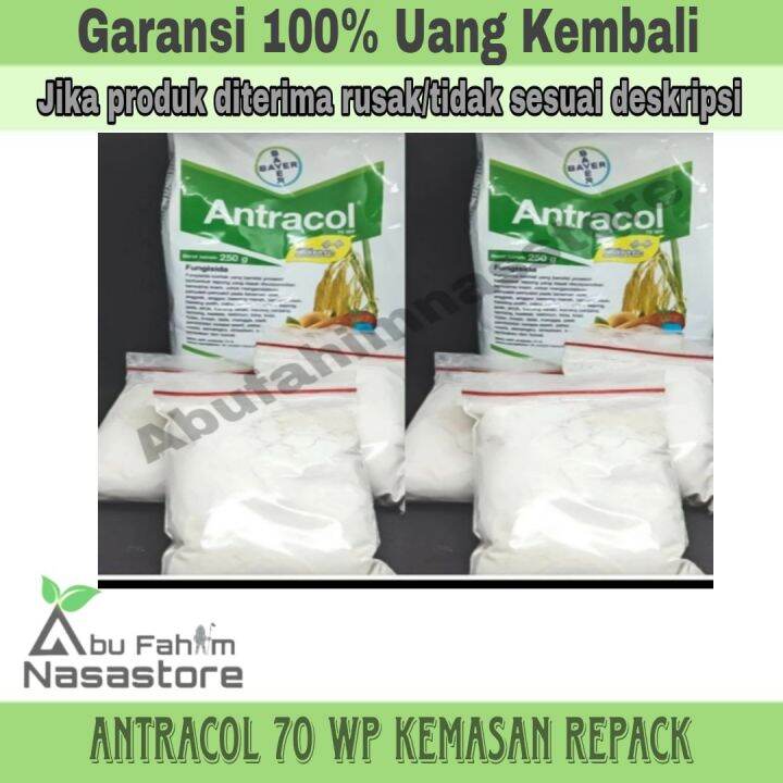 Fungisida Antracol Wp Zinc Kemasan Repack Gr Gr Lazada Indonesia