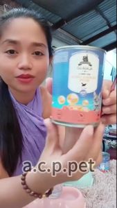 Cheapest First Order Wet Cat Food Canned No Preservative Cat wet food Best Cat pouch food for kitten