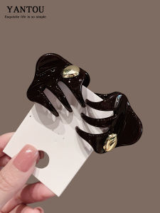 2025 New Gold Label Small Hair Clip Simple Elegant Half Updo Hair Accessories Adult Acrylic Hair Grips Fashionable Hairpins