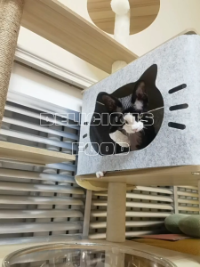 คอนโดแมว คอนโดแมวไม้ บ้านแมว เหมาะสำหรับเลี้ยงน้องแมว 4-6ตัว เสาลับเล็บ ขนาดใหญ่ สูง