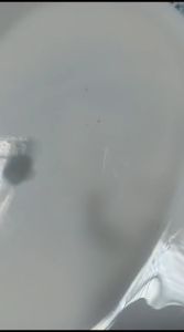 Mote Manik Manik Warna Jelly Candy 10 gr: Makanan Manis Sehat untuk Anak