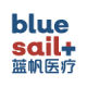 bluesail 1757477313