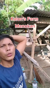 【Reinforced】Fishing Net | Chicken Net | Fish Net for Chicken