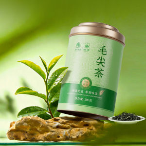 SHIFENG | New Fresh Spring Extra Fine Green Tea 100g