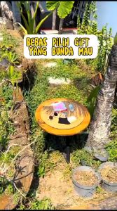 Coloring Book Cuddleme Buku Mewarnai Edukasi Anak Keluarga Kaka CuddleMe