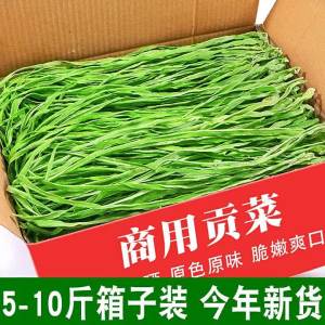 High-Quality Hotpot Ingredient Dried Cai