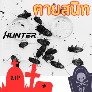 💥จากยุโรป💥 5นาทีตาย ครีมกำจัดแมลงสาบ*ฮันเตอร์*HUNTER*ตายยกรัง