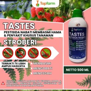 Obat Semprot Stroberi / Obat Semprot Khusus Stroberi / Obat Busuk Buah Stroberi / Obat Buah Stroberi / Obat Buat Tanaman Stroberi / Obat Hama Stroberi