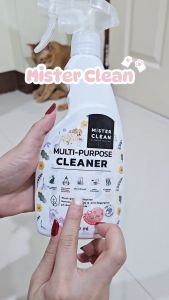 Mister Clean Multi-Purpose Cleaner น้ำยาทำความสะอาดอเนกประสงค์ สูตร Plant-powered ไม่ทำลายพื้นผิว ไม่ก่อให้เกิดอาการแพ้